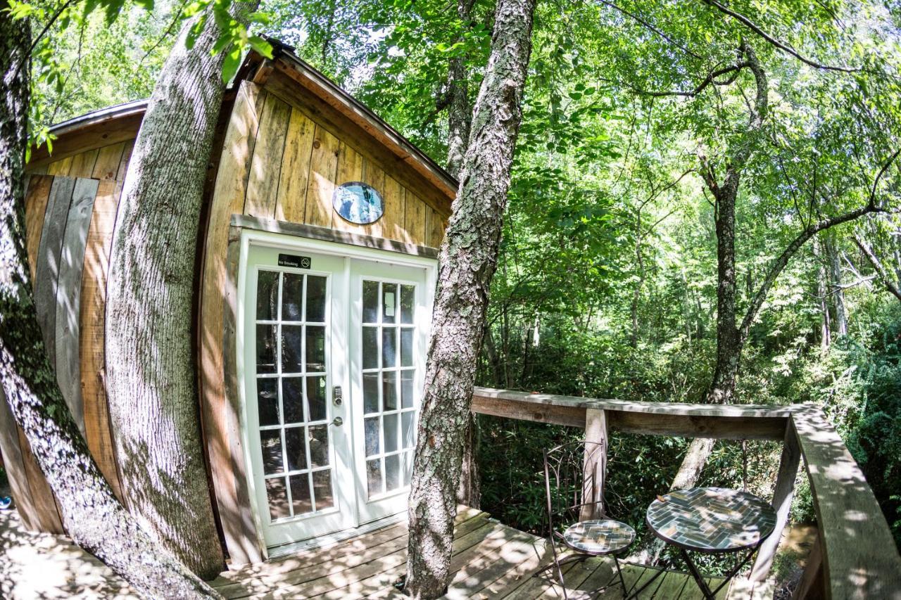 Mountain Harbour B&B Roan Mountain Esterno foto